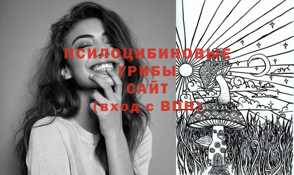 шишки Аркадак